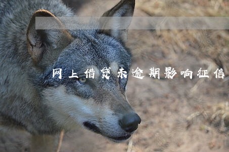 网上借贷未逾期影响征信 网上借贷未逾期影响征信