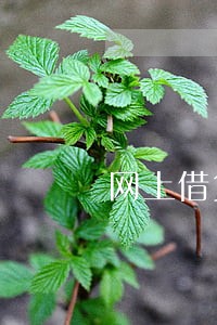 网上借贷款逾期会有什么后果 网上借贷款逾期会有什么后果