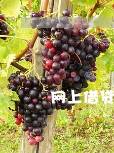 网上借贷没逾期可以坐飞机吗 网上借贷没逾期可以坐飞机吗