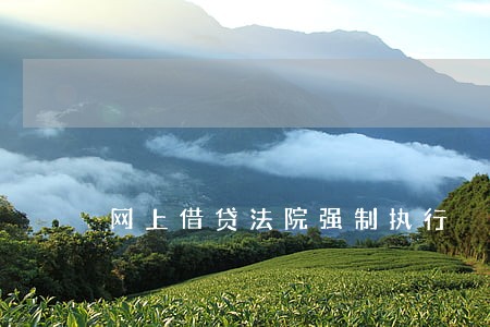网上借贷法院强制执行 网上借贷法院强制执行