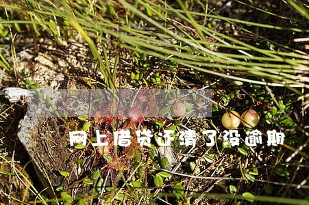 网上借贷还清了没逾期 网上借贷还清了没逾期