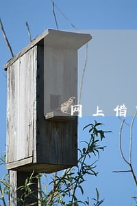网上借贷逾期上征信吗 网上借贷逾期上征信吗