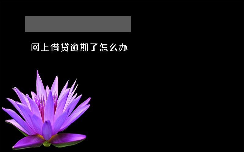 网上借贷逾期了怎么办