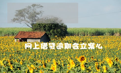 网上借贷逾期会立案么