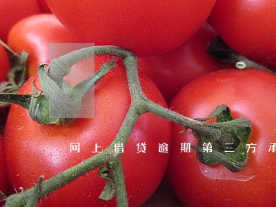 网上借贷逾期第三方承担责任吗 网上借贷逾期第三方承担责任吗
