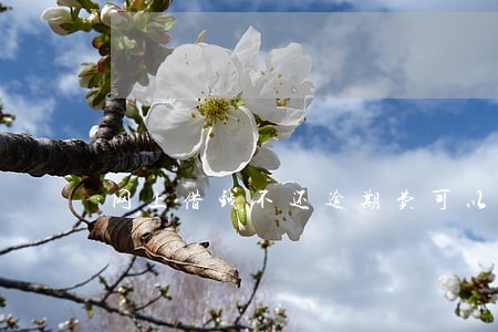 网上借钱不还逾期费可以吗 网上借钱不还逾期费可以吗