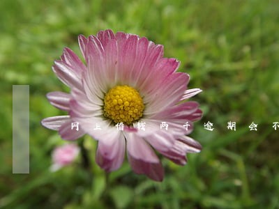 网上借钱两千逾期会不会找家人 网上借钱两千逾期会不会找家人