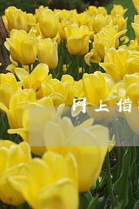 网上借钱失败有逾期记录怎么办 网上借钱失败有逾期记录怎么办