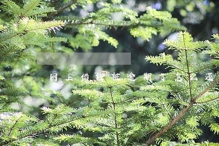 网上借钱被逾期了怎么还钱 网上借钱被逾期了怎么还钱