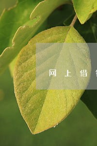 网上借钱逾期60天怎么处理 网上借钱逾期60天怎么处理