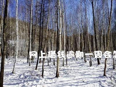 网上借钱逾期一周会怎么样 网上借钱逾期一周会怎么样