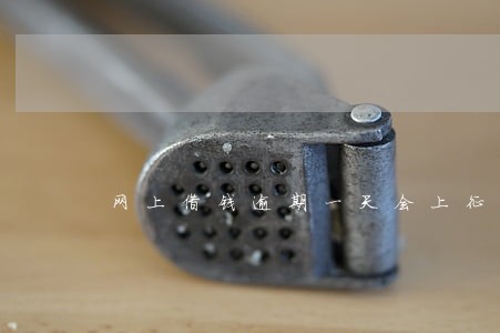 网上借钱逾期一天会上征信吗 网上借钱逾期一天会上征信吗