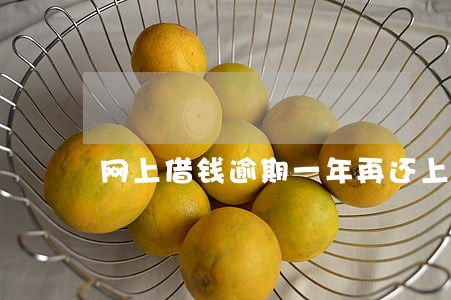 网上借钱逾期一年再还上去 网上借钱逾期一年再还上去