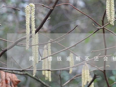 网上借钱逾期不还会被抓吗 网上借钱逾期不还会被抓吗