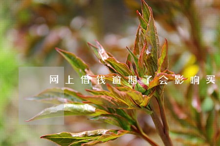 网上借钱逾期了会影响买房吗 网上借钱逾期了会影响买房吗