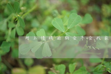 网上借钱逾期会不会找家人 网上借钱逾期会不会找家人