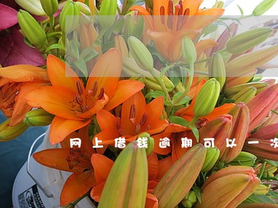 网上借钱逾期可以一次还清吗 网上借钱逾期可以一次还清吗