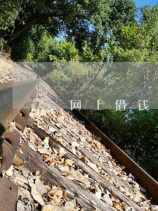 网上借钱逾期多久会影响征信 网上借钱逾期多久会影响征信