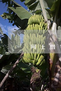 网上借钱逾期影响什么 网上借钱逾期影响什么