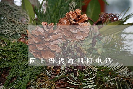 网上借钱逾期打电话 网上借钱逾期打电话