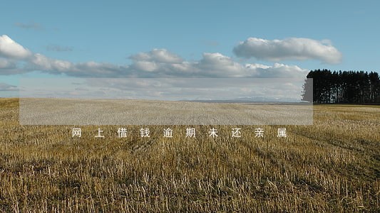 网上借钱逾期未还亲属