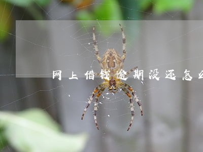 网上借钱逾期没还怎么办 网上借钱逾期没还怎么办