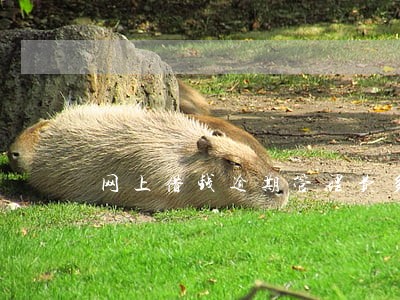 网上借钱逾期管理费多少 网上借钱逾期管理费多少