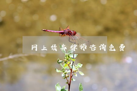 网上债务律师咨询免费 网上债务律师咨询免费