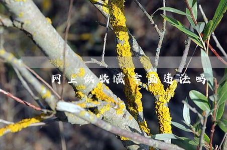网上做收藏字画违法吗 网上做收藏字画违法吗