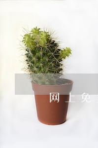 网上免费咨询离婚律师 网上免费咨询离婚律师