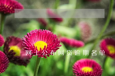 网上公布网贷逾期名单 网上公布网贷逾期名单