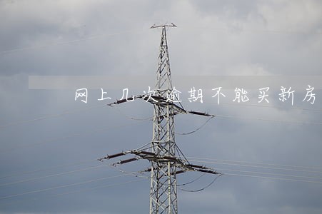 网上几次逾期不能买新房