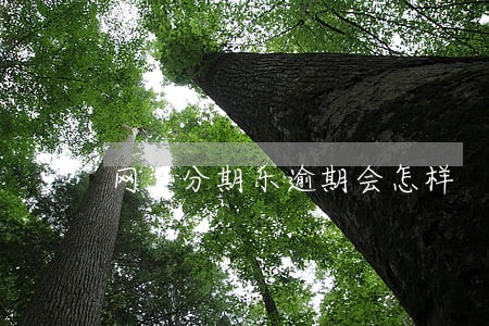 网上分期乐逾期会怎样