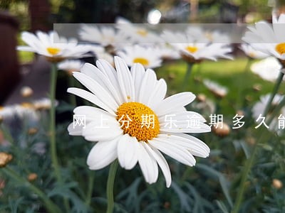 网上分期乐逾期多久能消除 网上分期乐逾期多久能消除