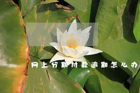 网上分期付款逾期怎么办 网上分期付款逾期怎么办