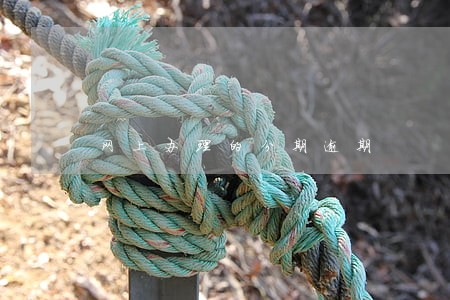 网上办理的分期逾期 网上办理的分期逾期
