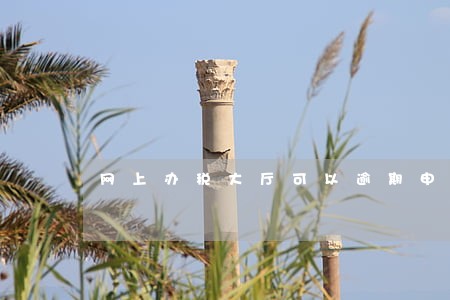 网上办税大厅可以逾期申报吗 网上办税大厅可以逾期申报吗