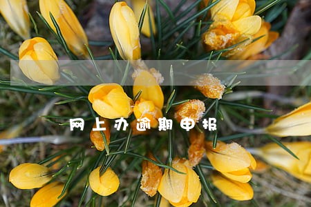 网上办逾期申报