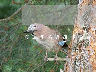 网上可以咨询律师吗 网上可以咨询律师吗