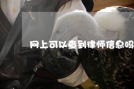 网上可以查到律师信息吗