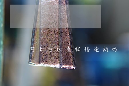 网上可以查征信逾期吗 网上可以查征信逾期吗