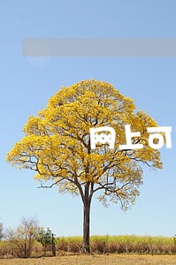 网上可以查询信用卡逾期吗