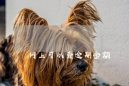 网上可以查逾期金额 网上可以查逾期金额