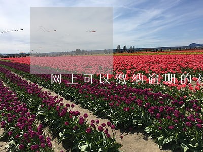 网上可以缴纳逾期的社保吗