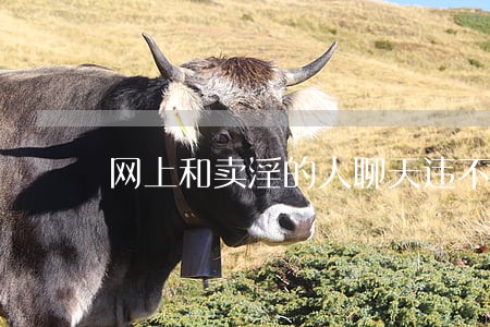 网上和卖淫的人聊天违不违法 网上和卖淫的人聊天违不违法