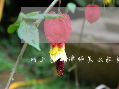 网上咨询律师怎么收费 网上咨询律师怎么收费