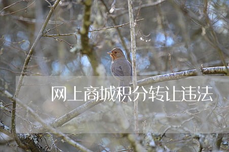网上商城积分转让违法 网上商城积分转让违法