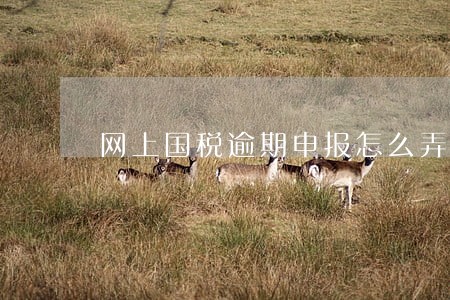网上国税逾期申报怎么弄 网上国税逾期申报怎么弄