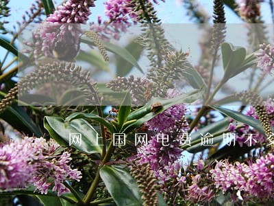 网上国网电费逾期不交怎么办 网上国网电费逾期不交怎么办
