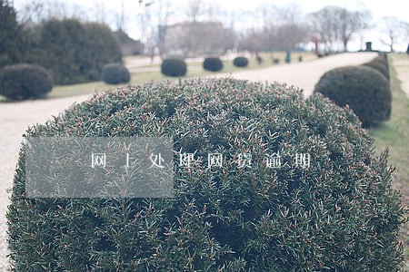 网上处理网贷逾期 网上处理网贷逾期